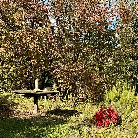 Small House, Charming Cabin, Cozy Place Casa vacanze