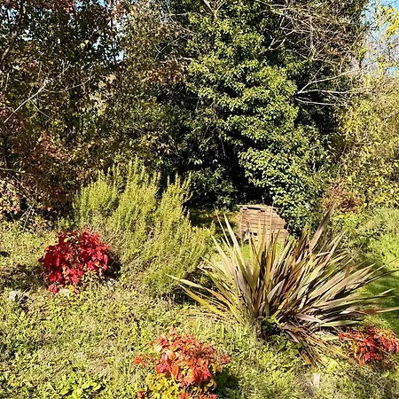 Small House, Charming Cabin, Cozy Place * Montbrun-Bocage