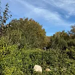 Small House, Charming Cabin, Cozy Place Montbrun-Bocage