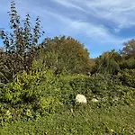 Small House, Charming Cabin, Cozy Place Hébergement de vacances *