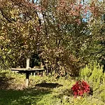 Small House, Charming Cabin, Cozy Place Hébergement de vacances