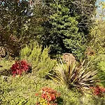 Small House, Charming Cabin, Cozy Place * Montbrun-Bocage