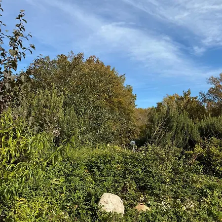 Small House, Charming Cabin, Cozy Place Montbrun-Bocage