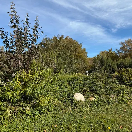 Small House, Charming Cabin, Cozy Place Nyaraló *