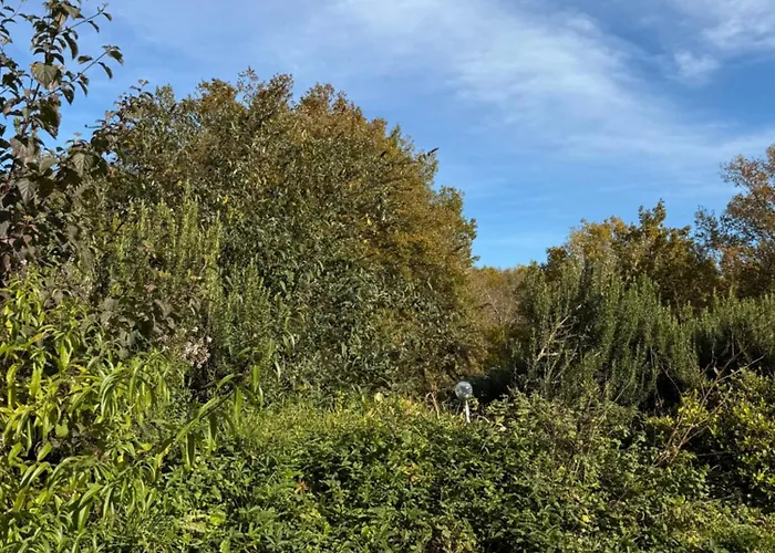 Small House, Charming Cabin, Cozy Place Montbrun-Bocage