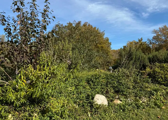 Small House, Charming Cabin, Cozy Place 別荘 *