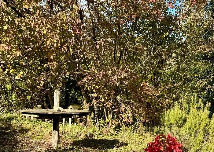 Small House, Charming Cabin, Cozy Place Сasa de vacaciones