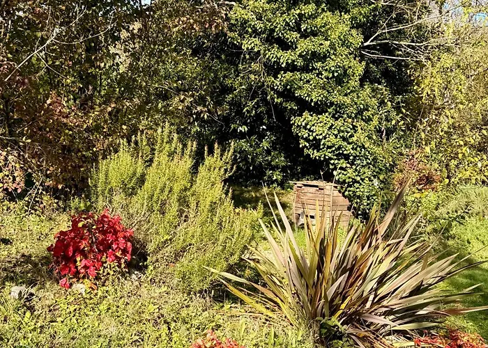 Small House, Charming Cabin, Cozy Place * Montbrun-Bocage